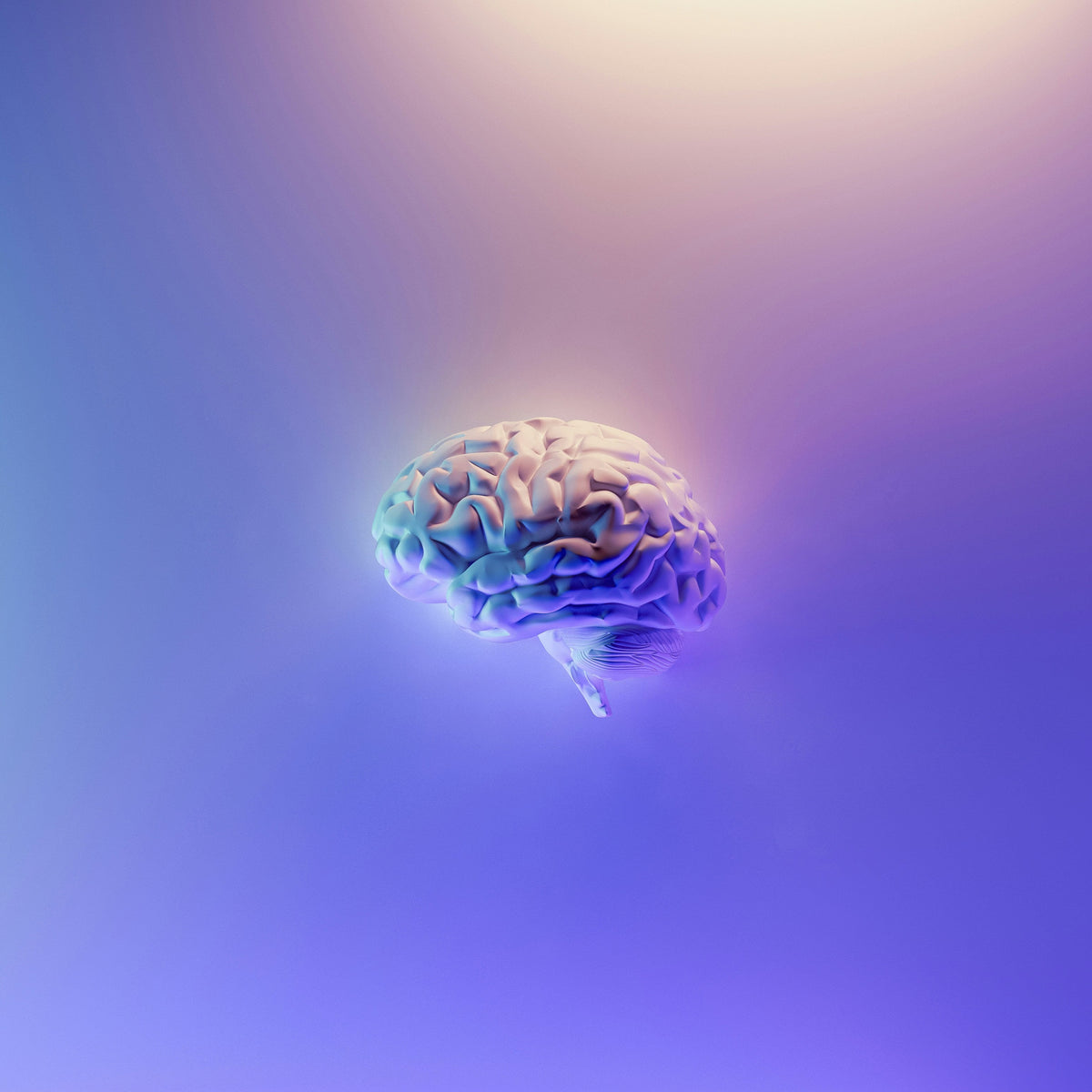 Cmo afecta la masturbacin al cerebro?