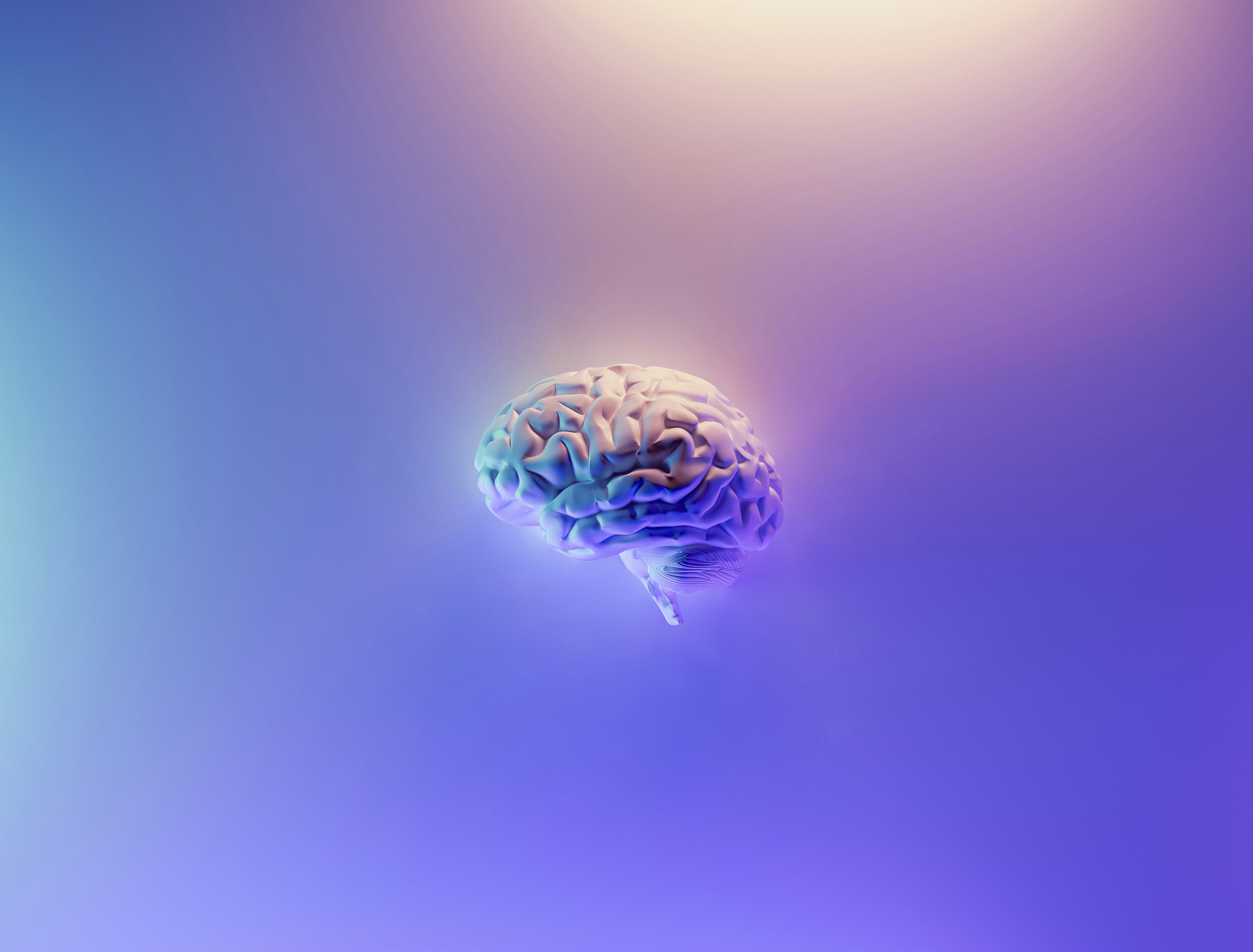 Image of a brain